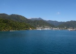 Llegando a Picton, puerto de entrada al norte de la isla sur