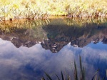 Ir a Foto: Lagunas de espejos en el camino a Milford Sound