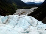 Vista desde el Glaciar Franz Josef