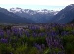 Paisajes de Arthur Pass - Nueva Zelanda