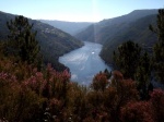 Cañón del río Miño