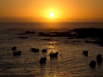 Puesta de sol en el puerto de Oia