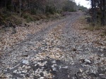 Llega el otoño
otoño