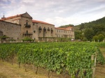 Viñedos del Monasterio de San Clodio (Ourense)
Monasterio San Clodio