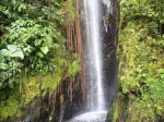 Waterfalls in Coroico (Bolivia)