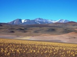 Paisaje de la puna salteña a la puna catamarqueña