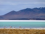 Laguna del Hombre Muerto