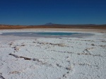 Stromatolites home