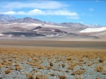Desolado paisaje volcánico de la puna de Catamarca
Antofagasta de la Sierra Catamarca