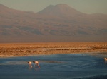 Sunset in Atacama salt flat