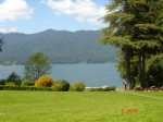 Lago Quinault
lago Quinault