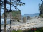 Rubi beach (Olympic Peninsula - Washington)