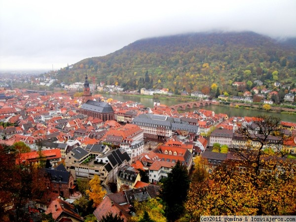 Foro de Heidelberg: Heidelberg desde el castillo