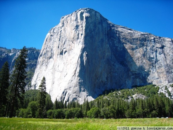 Yosemite - California : USA