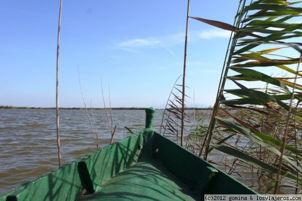 De paseo
Paseo en Barca por la Albufera de Valencia
