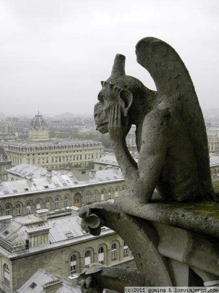 La gargola de Notre Dame
Gargola de Notre Dame y detras, Paris
