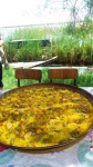 Paella Valenciana