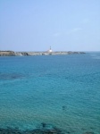 Playa Tortuga en Menorca
playa tortuga menorca españa