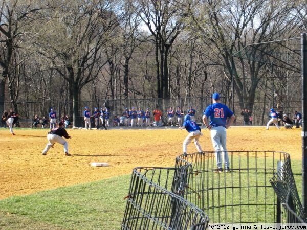 Conocimientos básicos del Beisbol