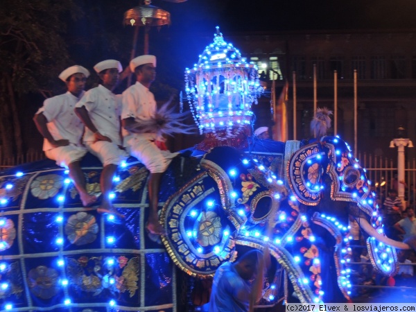 Festival Perahera, Kandy 2016
Esala Perahera, el festival con cientos de elefantes por las calles de Kandy con el que se venera a uno de los dientes de Buda.
