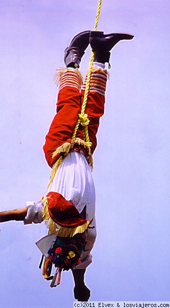 Volador de Papantla
Volador de Papantla
