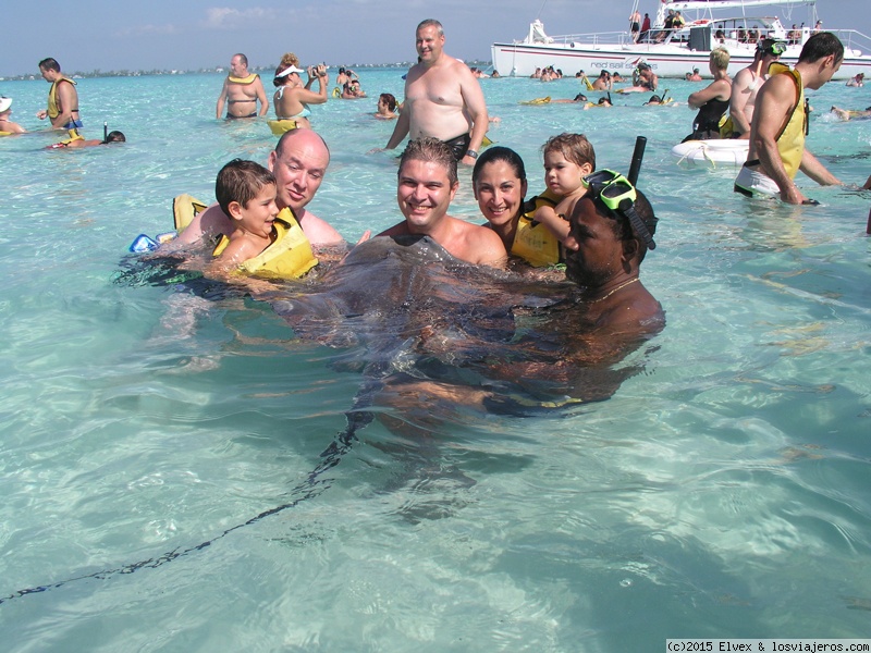 Foro de Preziosa: Mantarraya en Islas Caimán