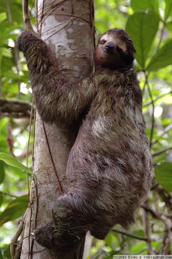 Costa Rica: “Stop Animal Selfies”