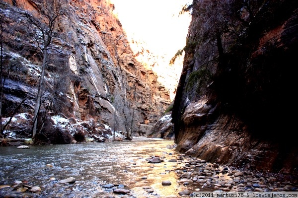 Opiniones Zion National Park 2024 en Costa Oeste de USA: EL CAÑÓN ZION