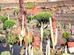 JARDIN DE CACTUS - LANZAROTE