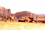 CABALLOS EN MONUMENT VALLEY