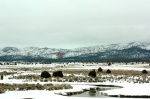 PAISAJE NEVADO EN CARRETERA