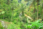 Vistas Camino A Gunung Kawi - bali