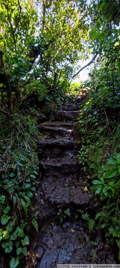 Día 4: Tenerife (Anaga) - Pateando Canarias durante dos semanas (2021) (1)