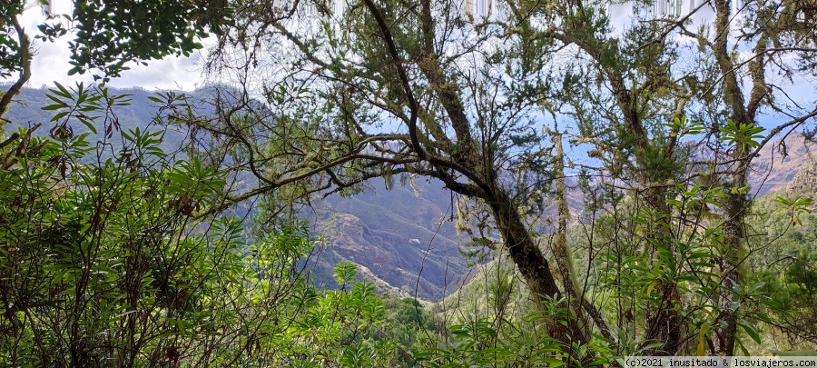 Día 4: Tenerife (Anaga) - Pateando Canarias durante dos semanas (2021) (2)