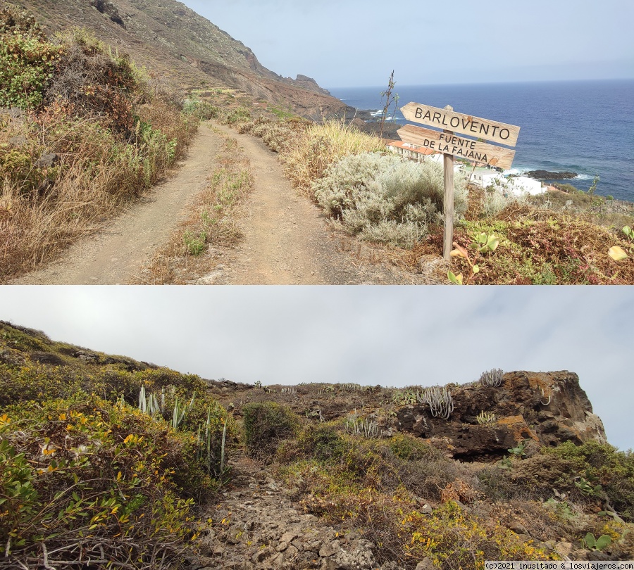 Pateando Canarias durante dos semanas (2021) - Blogs de España - Día 9: La Palma (Cascada de Los Tilos – Fajana – Barlovento - Nogales) (3)