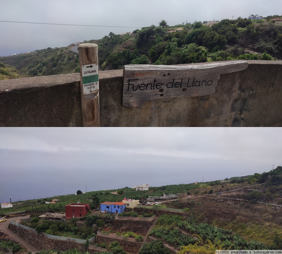 Pateando Canarias durante dos semanas (2021) - Blogs de España - Día 9: La Palma (Cascada de Los Tilos – Fajana – Barlovento - Nogales) (4)