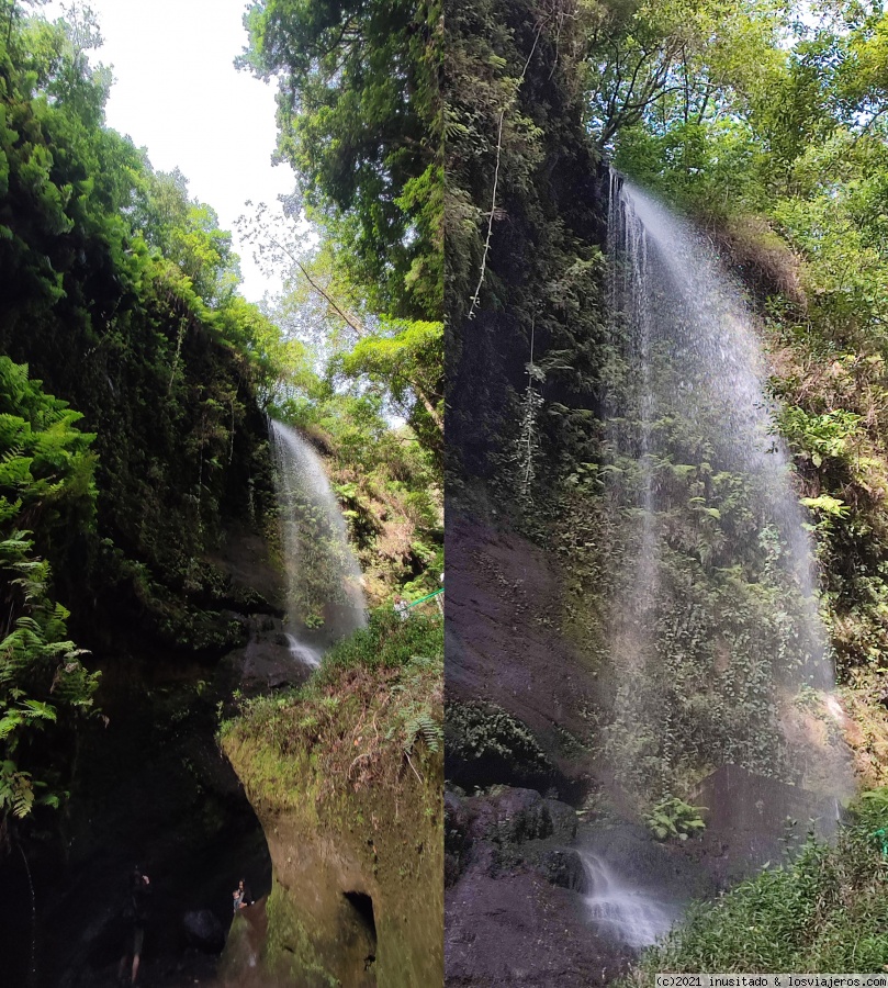 Pateando Canarias durante dos semanas (2021) - Blogs de España - Día 9: La Palma (Cascada de Los Tilos – Fajana – Barlovento - Nogales) (1)