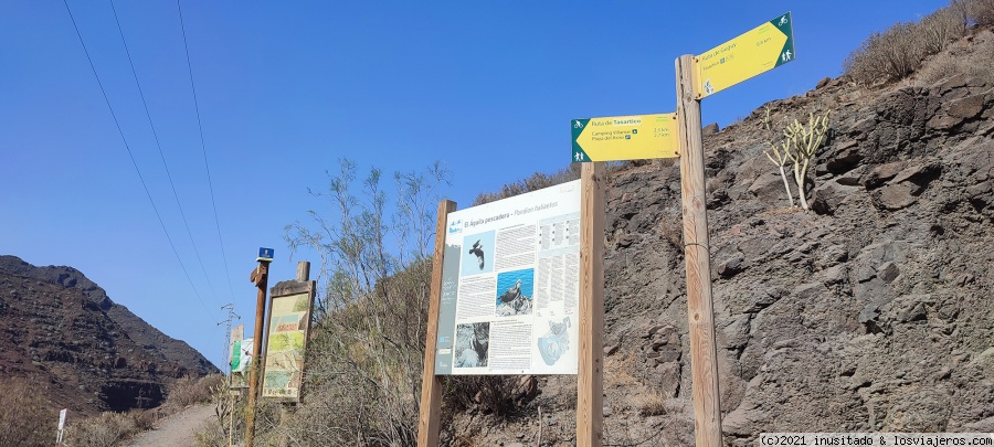 Día 13: Gran Canaria (Playa del Güigüi) - Pateando Canarias durante dos semanas (2021) (1)