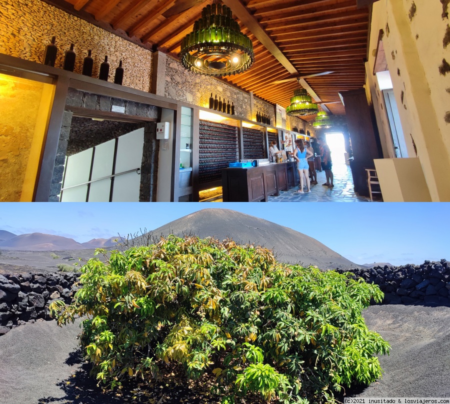 Día 16: Lanzarote (Tegoyo, Geria y Punta del Papagayo) - Pateando Canarias durante dos semanas (2021) (3)