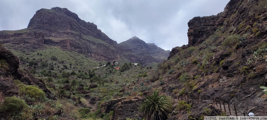 Pateando Canarias durante dos semanas (2021) - Blogs of Spain - Día 2: Tenerife (Barranco del Masca y Los Gigantes) (2)