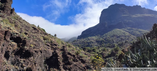 Barranco del Masca
Barranco del Masca
