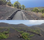 La Palma - Fuencaliente