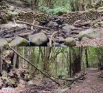 Gran Canaria - Parque Nacional de Garajonay (río)