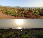 Jardines del Parador de La Palma
Parador, Palma