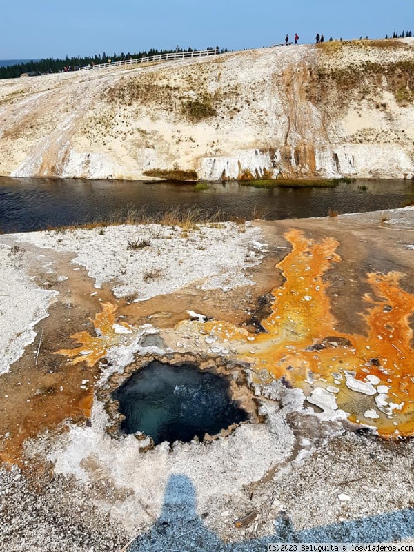 Un viaje a USA por lugares menos convencionales - Blogs de USA - Yellowstone (2)