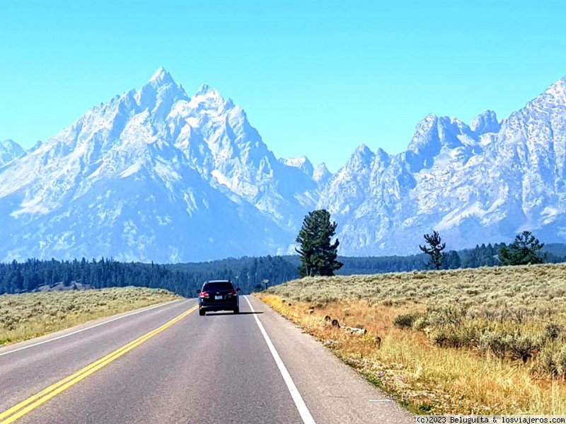 Un viaje a USA por lugares menos convencionales - Blogs de USA - Recorriendo Grand Teton con Chuckwagon Dinner Cutout! (1)