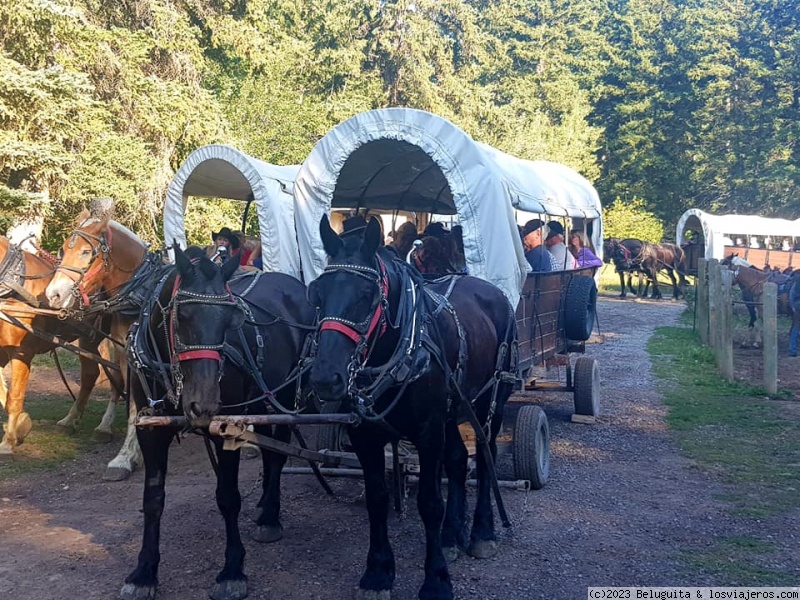 Un viaje a USA por lugares menos convencionales - Blogs de USA - Recorriendo Grand Teton con Chuckwagon Dinner Cutout! (4)