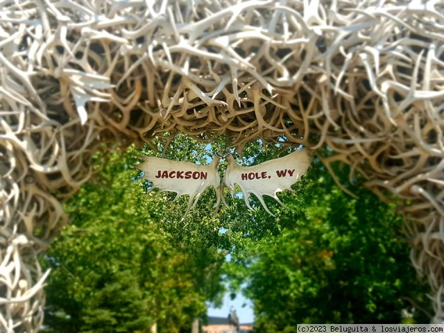 Jackson Hole
Jackson Hole
