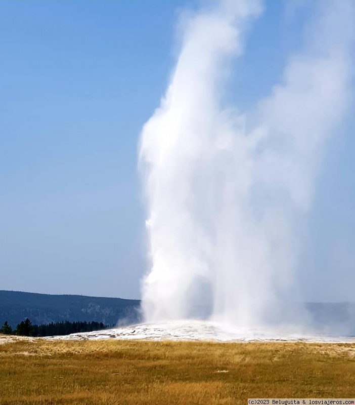 Un viaje a USA por lugares menos convencionales - Blogs de USA - Yellowstone (3)