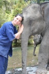 DIA 3 Excursión elefantes!!!!